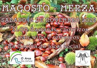 Magosto de Merza  (2025) en Vila de Cruces