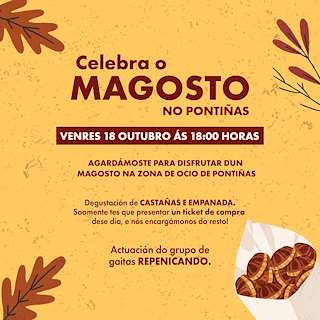 Magosto do Centro Comercial de Pontiñas en Lalín