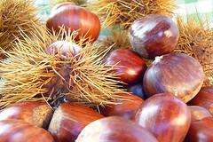 Magosto Popular de Rendal (2025) en Arzúa