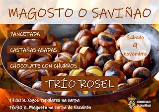 Magosto Popular en O Saviñao