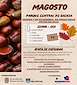FiestasRelacionadas Magosto  en Antas de Ulla