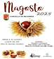 FiestasRelacionadas Magosto en Becerreá