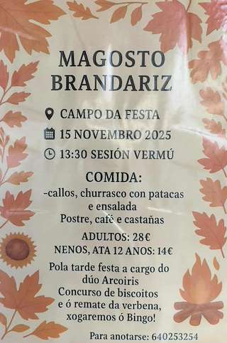 Fechas, información, programa, cartel, imágenes, mapa y ubicación de Magosto de Brandariz (2025)  en  Vila de Cruces