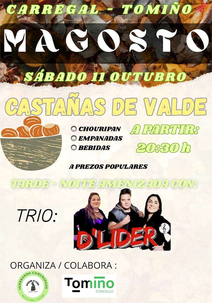 Magosto de Carregal (2025) en Tomiño