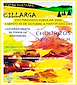 FiestasRelacionadas Magosto de Cillarga en Ponteareas