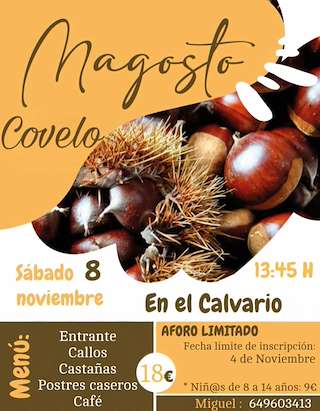 Fechas, información, programa, cartel, imágenes, mapa y ubicación de Magosto de Covelo (2025)  en  A Lama