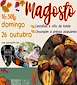 FiestasRelacionadas Magosto de Forcadela en Tomiño