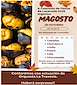 FiestasRelacionadas Magosto de Lavacolla en Santiago de Compostela