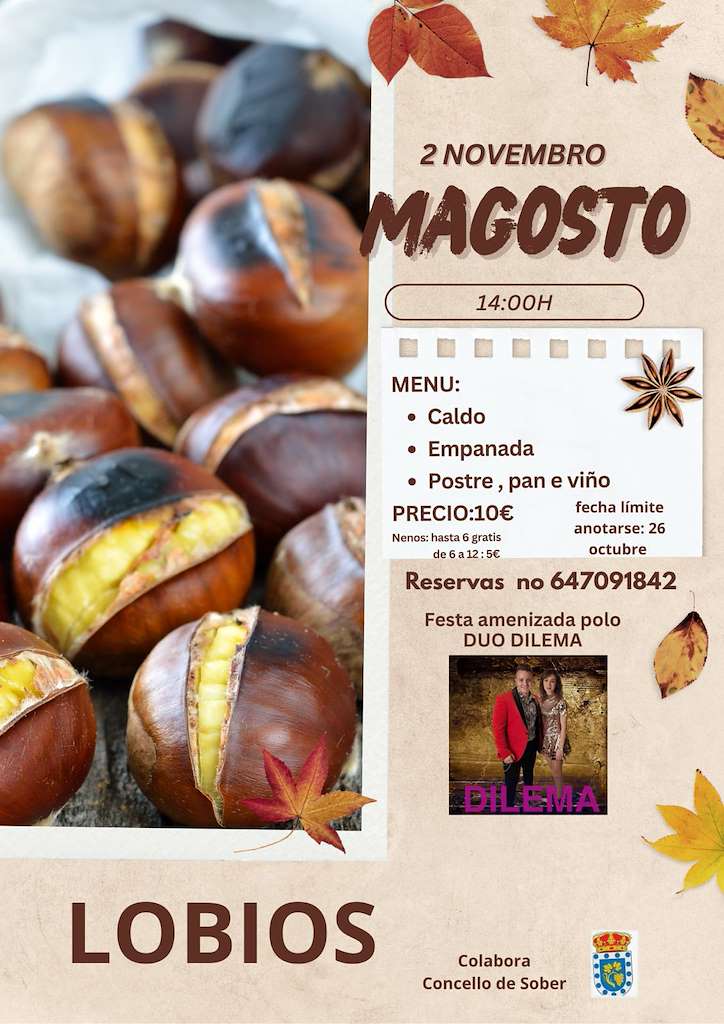 Magosto de Lobios en Sober