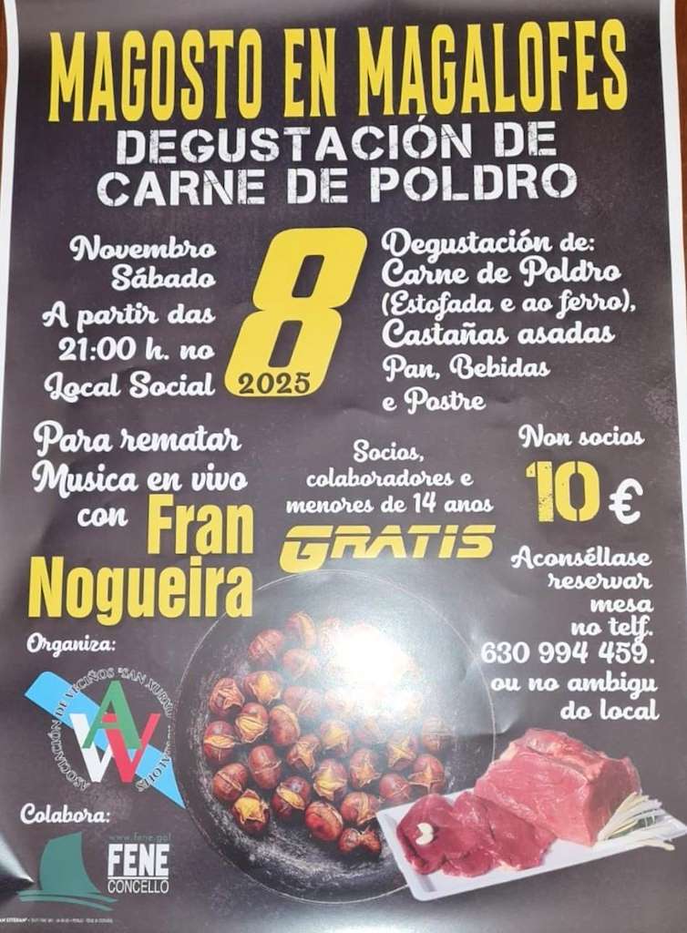 Magosto de Magalofes en Fene