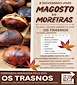 FiestasRelacionadas Magosto de Moreiras  (1) en Toén