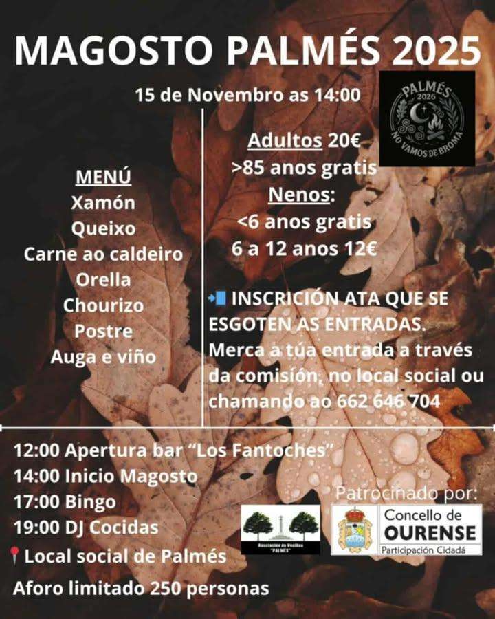Magosto de Palmés en Ourense