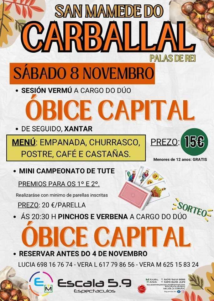 Magosto de San Mamede do Carballal en Palas de Rei