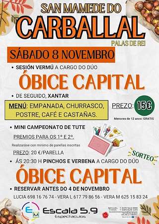 Fechas, información, programa, cartel, imágenes, mapa y ubicación de Magosto de San Mamede do Carballal (2025) en Palas de Rei