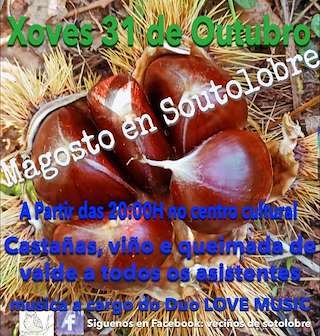 Fechas, información, programa, cartel, imágenes, mapa y ubicación de Magosto de Soutolobre   en  Salvaterra do Miño