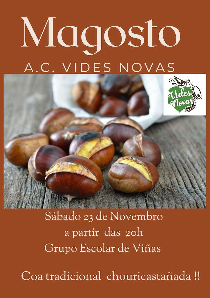 Magosto de Vides Novas en Poio