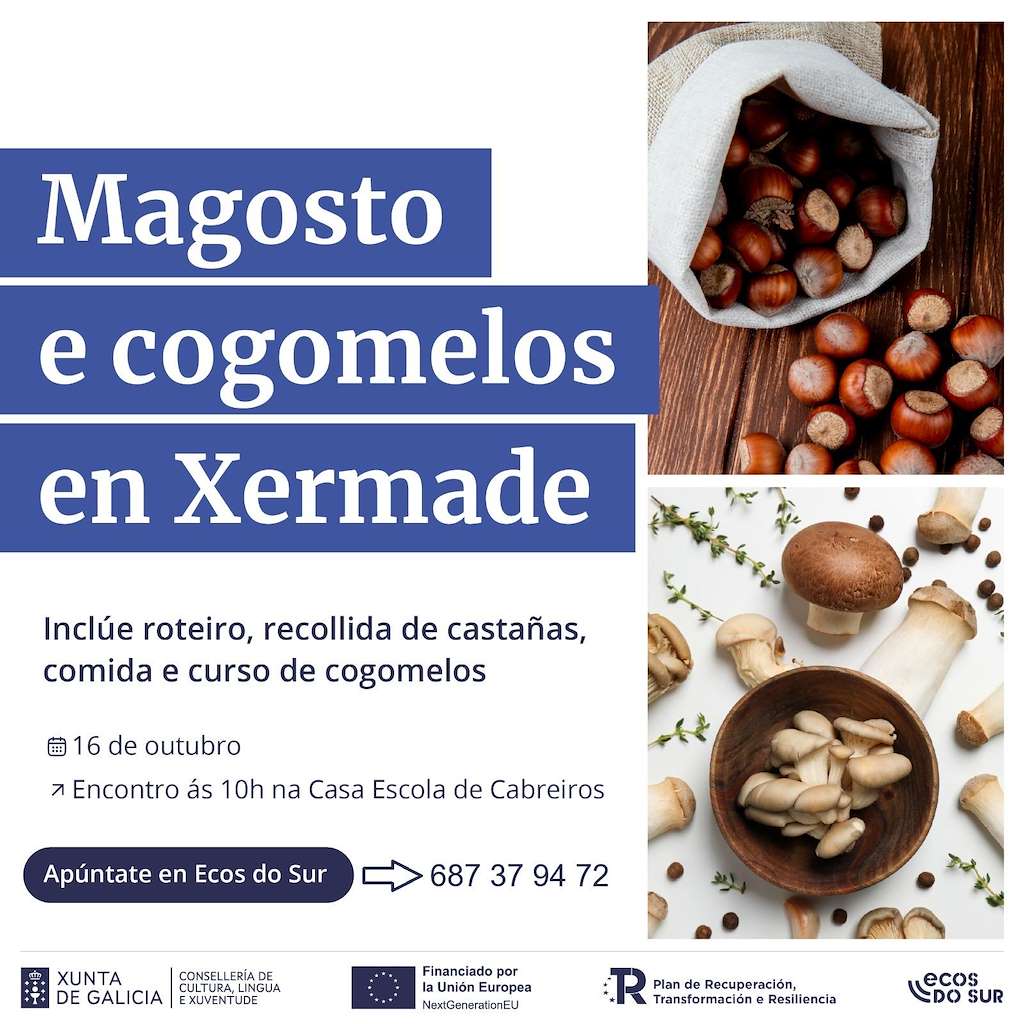 Magosto e Cogomelos (2025) en Xermade