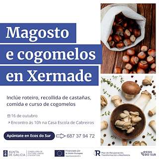 Fechas, información, programa, cartel, imágenes, mapa y ubicación de Magosto e Cogomelos (2025)  en  Xermade