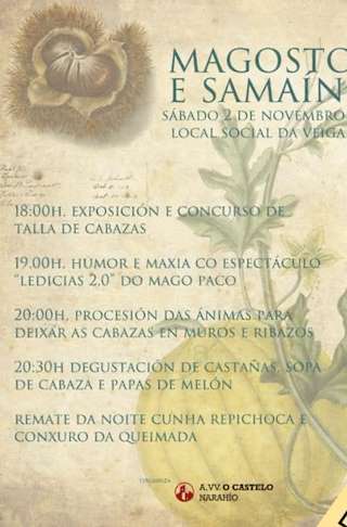 Fechas, información, programa, cartel, imágenes, mapa y ubicación de Magosto e Samaín de Narahío (2025) en San Sadurniño