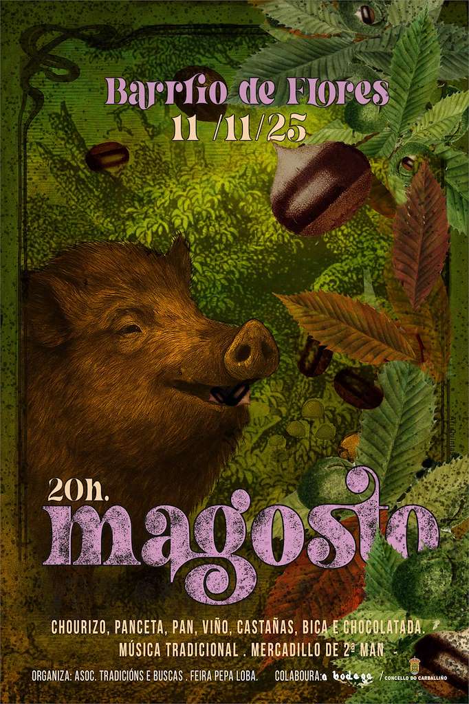 Magosto no Barrio das Flores (2025) en O Carballiño