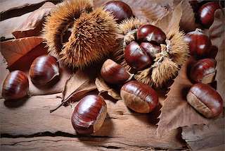 Magosto (2025) en Caldas de Reis