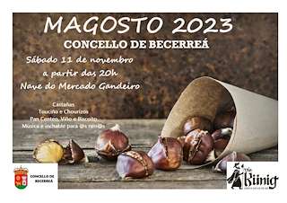Magosto en Becerreá