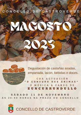 Magosto en Castroverde