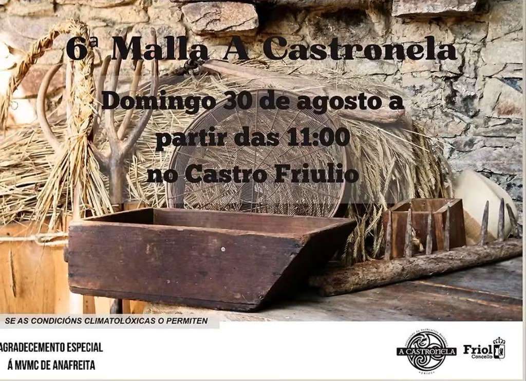 VI Malla A Castronela en Friol