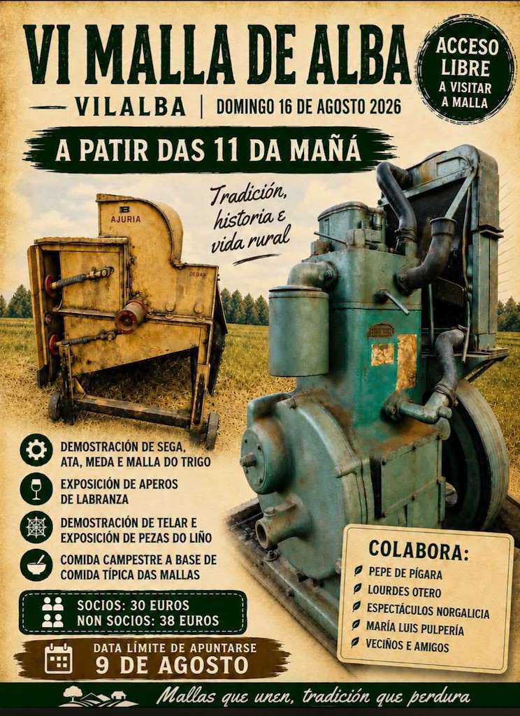 VI Malla de Alba (2026) en Vilalba