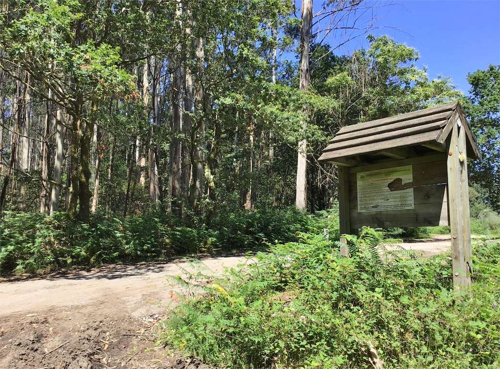 Mámoa Forno das Arcas en Bueu