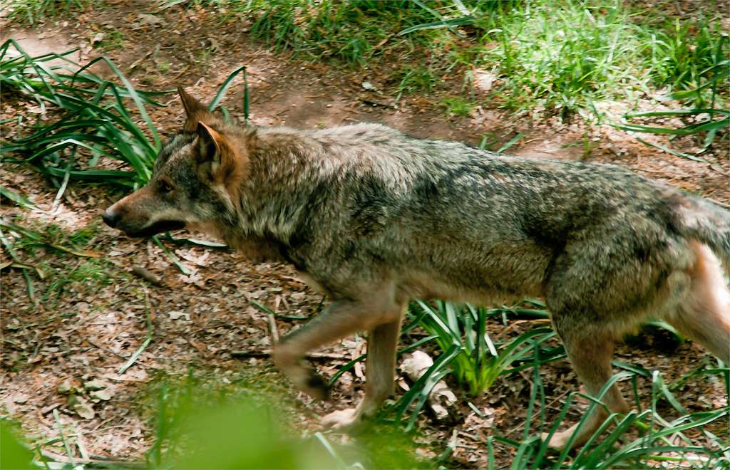 Marcelle Natureza en Outeiro de Rei