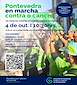 FiestasRelacionadas VIII Marcha Contra el Cáncer  (1) en Pontevedra