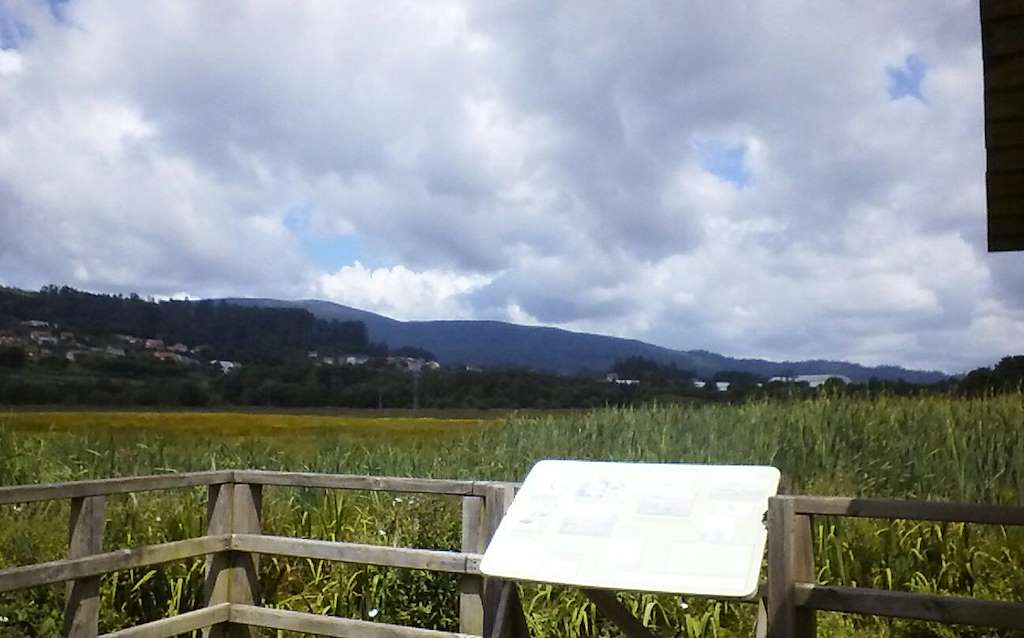 Marismas de A Xunqueira de Alba en Pontevedra
