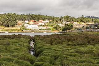 Marismas de Catoira