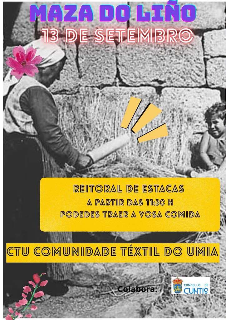 Maza do Liño (2026) en Cuntis