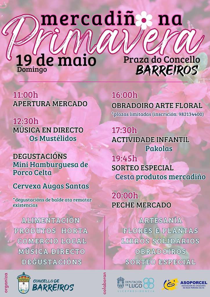 Mercadiño na Primavera  (2025) en Barreiros