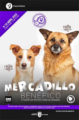 Mercadillo Benéfico en Vilagarcía de Arousa