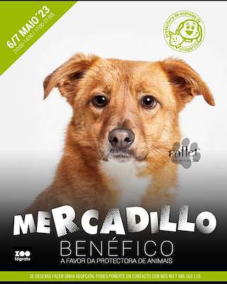 Mercadillo Benéfico en Vilagarcía de Arousa