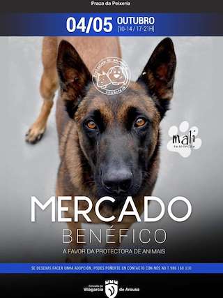 Mercadillo Benéfico en Vilagarcía de Arousa