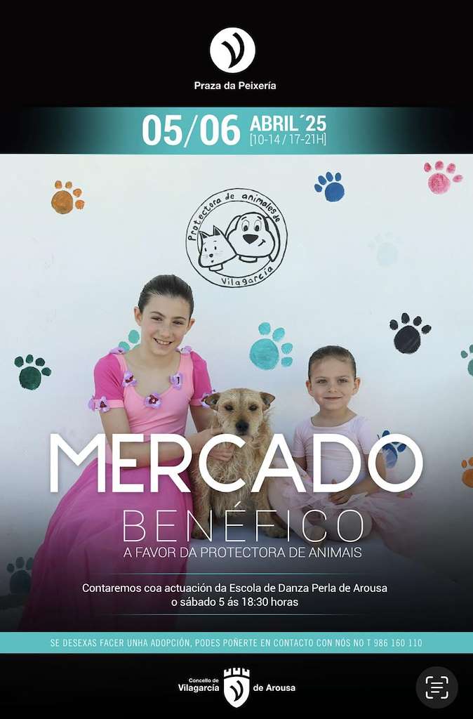 Mercadillo Benéfico (2025) en Vilagarcía de Arousa
