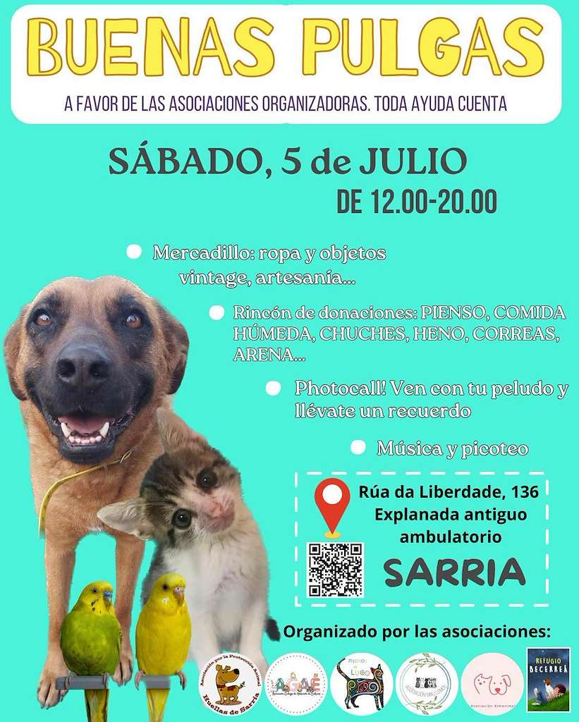 Mercadillo Boas Pulgas en Sarria