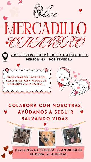 Fechas, información, programa, cartel, imágenes, mapa y ubicación de Mercadillo Ohanero (2026)  en  Pontevedra