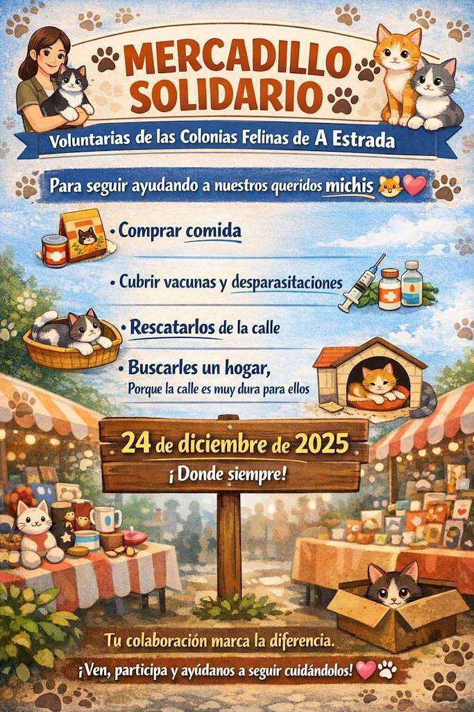 Mercadillo Solidario en A Estrada