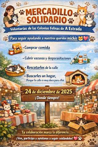 Fechas, información, programa, cartel, imágenes, mapa y ubicación de Mercadillo Solidario (2025)  en  A Estrada