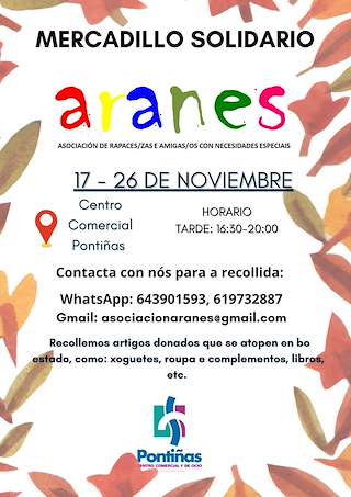 Fechas, información, programa, cartel, imágenes, mapa y ubicación de Mercadillo Solidario Aranes (2025) en Lalín