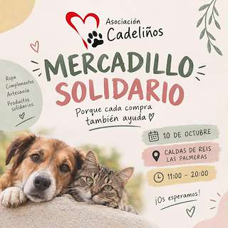 Fechas, información, programa, cartel, imágenes, mapa y ubicación de Mercadillo Solidario (2026)  en  Caldas de Reis