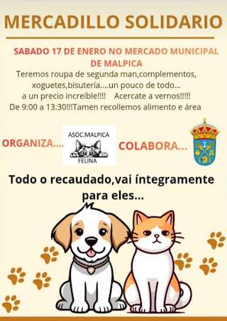 Fechas, información, programa, cartel, imágenes, mapa y ubicación de Mercadillo Solidario (2026)  en  Malpica de Bergantiños