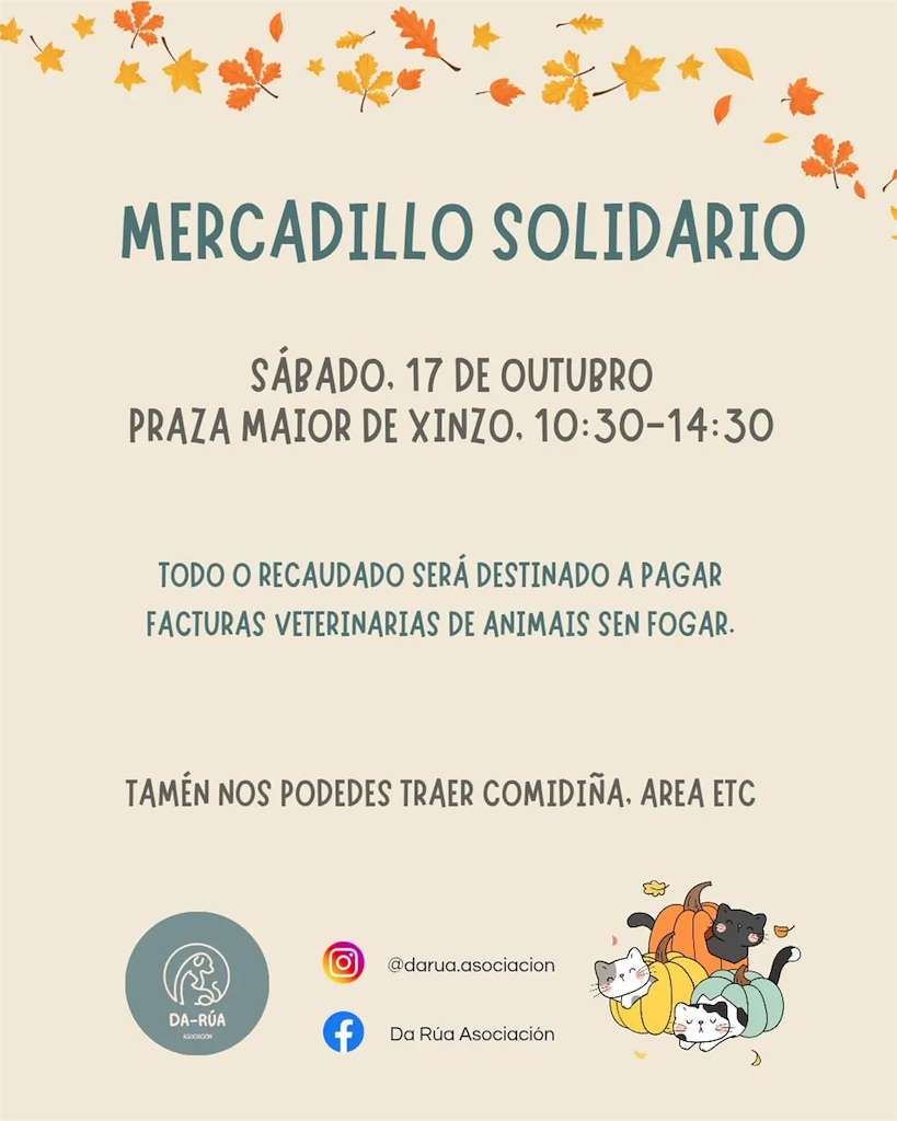 Mercadillo Solidario (2026) en Xinzo de Limia