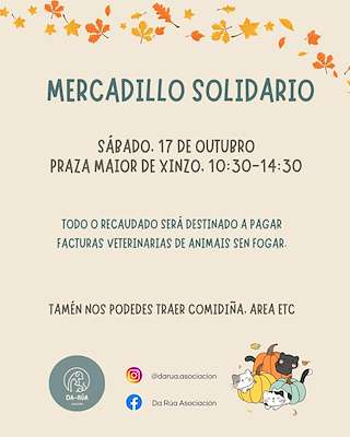Fechas, información, programa, cartel, imágenes, mapa y ubicación de Mercadillo Solidario (2026)  en  Xinzo de Limia