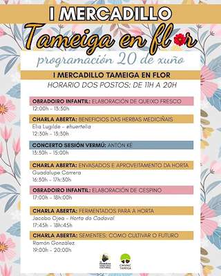 Fechas, información, programa, cartel, imágenes, mapa y ubicación de I Mercadillo Tameiga en Flor (2026)  en  Mos